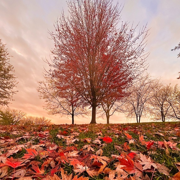 ✨Bookmark me✨ - Picture 9 of 16